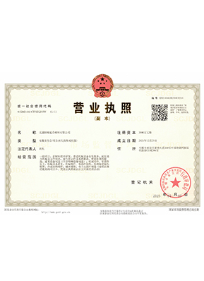 Business License